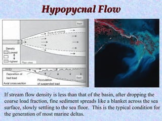 Hypopycnal FlowHypopycnal Flow
If stream flow density is less than that of the basin, after dropping the
coarse load fraction, fine sediment spreads like a blanket across the sea
surface, slowly settling to the sea floor. This is the typical condition for
the generation of most marine deltas.
 