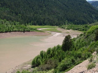 Photo by W. W. Little
 