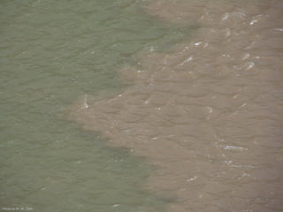 Photo by W. W. Little
 