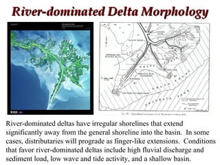River-dominated Delta MorphologyRiver-dominated Delta Morphology
River-dominated deltas have irregular shorelines that extend
significantly away from the general shoreline into the basin. In some
cases, distributaries will prograde as finger-like extensions. Conditions
that favor river-dominated deltas include high fluvial discharge and
sediment load, low wave and tide activity, and a shallow basin.
 