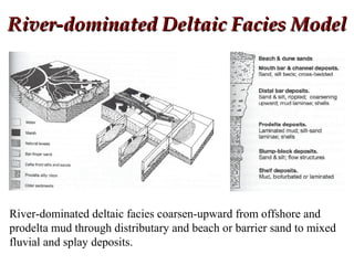 River-dominated Deltaic Facies ModelRiver-dominated Deltaic Facies Model
River-dominated deltaic facies coarsen-upward from offshore and
prodelta mud through distributary and beach or barrier sand to mixed
fluvial and splay deposits.
 