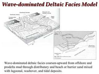 Wave-dominated Deltaic Facies ModelWave-dominated Deltaic Facies Model
Wave-dominated deltaic facies coarsen-upward from offshore and
prodelta mud through distributary and beach or barrier sand mixed
with lagoonal, washover, and tidal deposits.
 