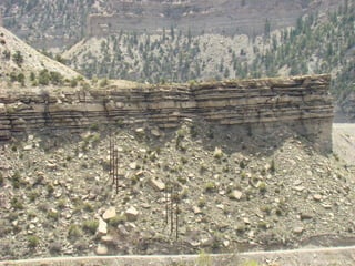 Photo by W. W. Little
 