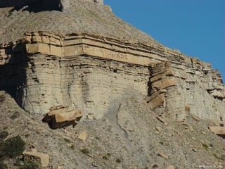 Photo by W. W. Little
 