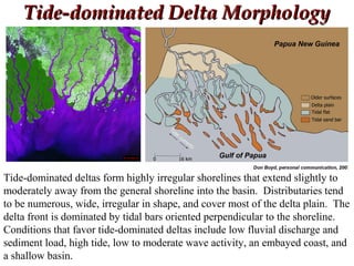 Tide-dominated Delta MorphologyTide-dominated Delta Morphology
Tide-dominated deltas form highly irregular shorelines that extend slightly to
moderately away from the general shoreline into the basin. Distributaries tend
to be numerous, wide, irregular in shape, and cover most of the delta plain. The
delta front is dominated by tidal bars oriented perpendicular to the shoreline.
Conditions that favor tide-dominated deltas include low fluvial discharge and
sediment load, high tide, low to moderate wave activity, an embayed coast, and
a shallow basin.
 