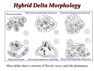 River-dominated
River-dominated/tidally-influenced Tide-dominated/wave-influenced
Wave-dominated Wave-dominated/river-influenced Wave-dominated/tide-influenced
Hybrid Delta MorphologyHybrid Delta Morphology
Most deltas show a mixture of fluvial, wave, and tide dominance.
 