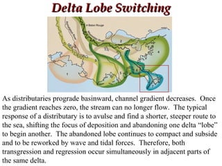 Delta Lobe SwitchingDelta Lobe Switching
As distributaries prograde basinward, channel gradient decreases. Once
the gradient reaches zero, the stream can no longer flow. The typical
response of a distributary is to avulse and find a shorter, steeper route to
the sea, shifting the focus of deposition and abandoning one delta “lobe”
to begin another. The abandoned lobe continues to compact and subside
and to be reworked by wave and tidal forces. Therefore, both
transgression and regression occur simultaneously in adjacent parts of
the same delta.
 