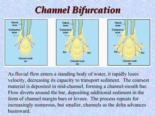 Channel BifurcationChannel Bifurcation
As fluvial flow enters a standing body of water, it rapidly loses
velocity, decreasing its capacity to transport sediment. The coarsest
material is deposited in mid-channel, forming a channel-mouth bar.
Flow diverts around the bar, depositing additional sediment in the
form of channel margin bars or levees. The process repeats for
increasingly numerous, but smaller, channels as the delta advances
basinward.
 