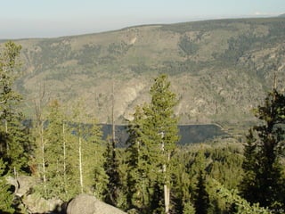 Photo by W. W. Little
 