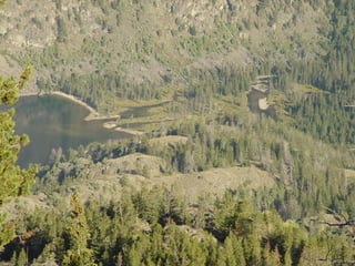 Photo by W. W. Little
 