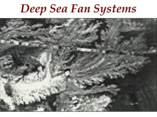 Deep Sea Fan Systems
 
