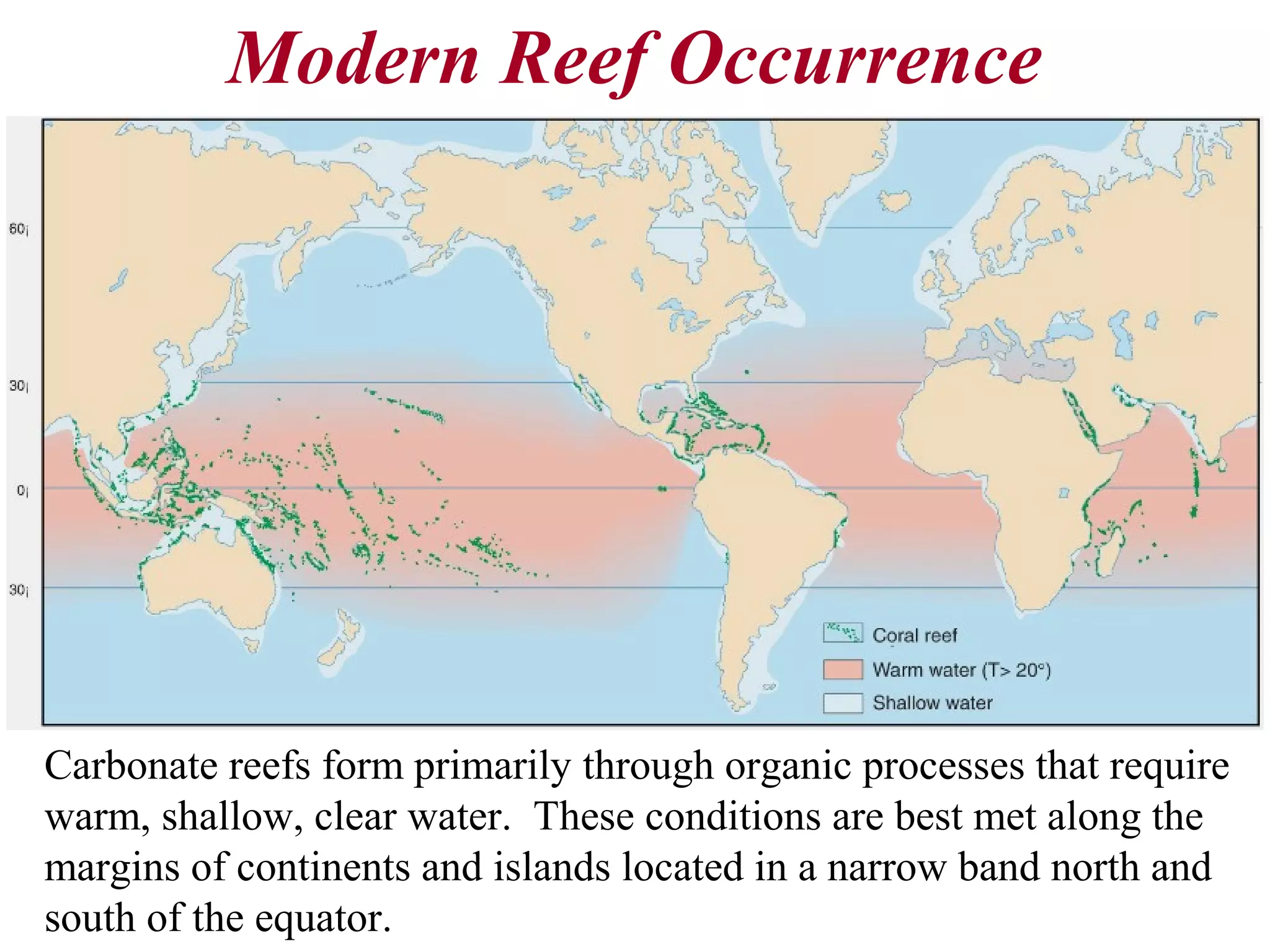 Modern Reef Occurrence
Carbonate reefs form primarily through organic processes that require
warm, shallow, clear water. These conditions are best met along the
margins of continents and islands located in a narrow band north and
south of the equator.
 