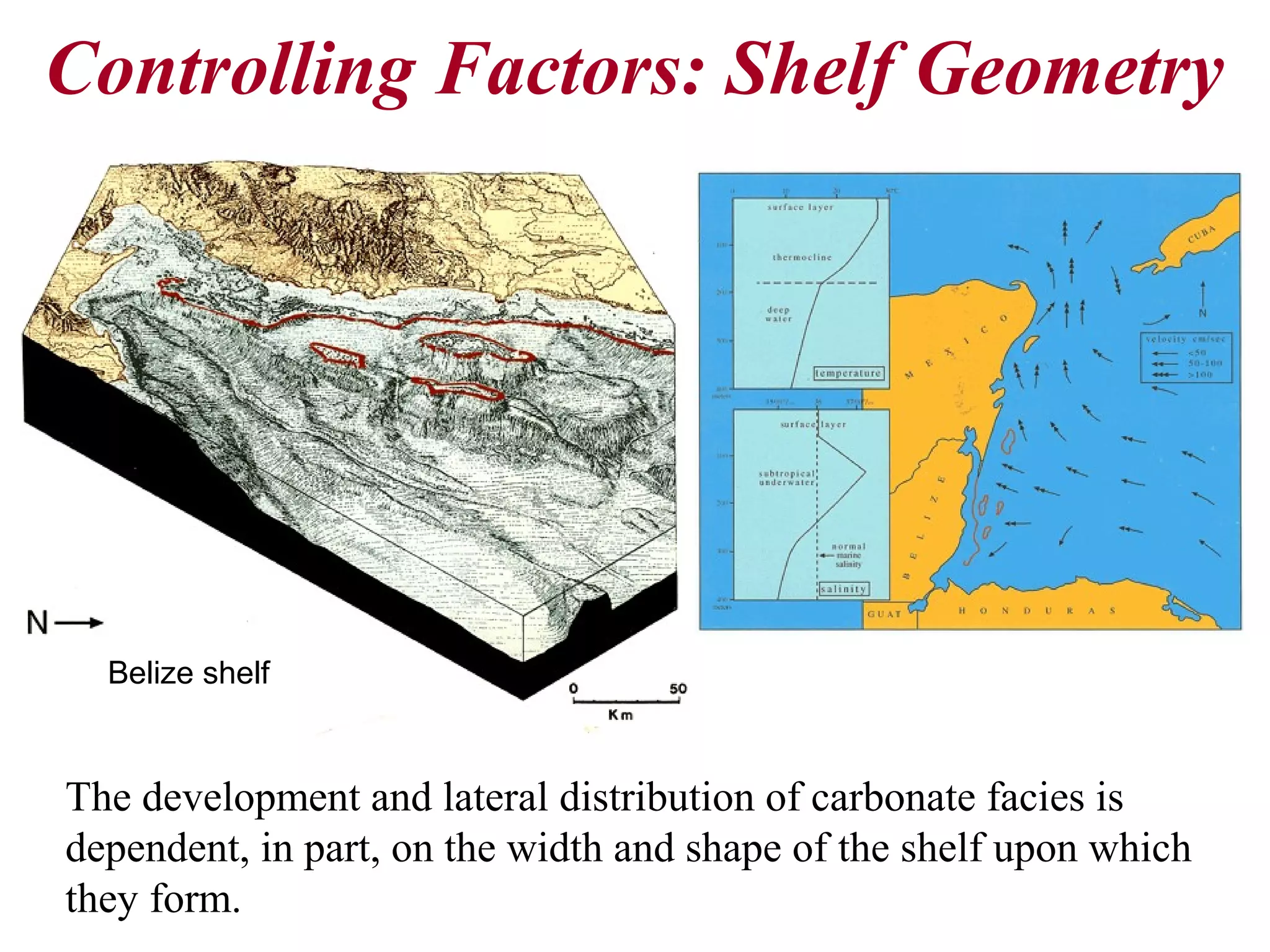 Controlling Factors: Shelf Geometry
The development and lateral distribution of carbonate facies is
dependent, in part, on the width and shape of the shelf upon which
they form.
Belize shelf
 