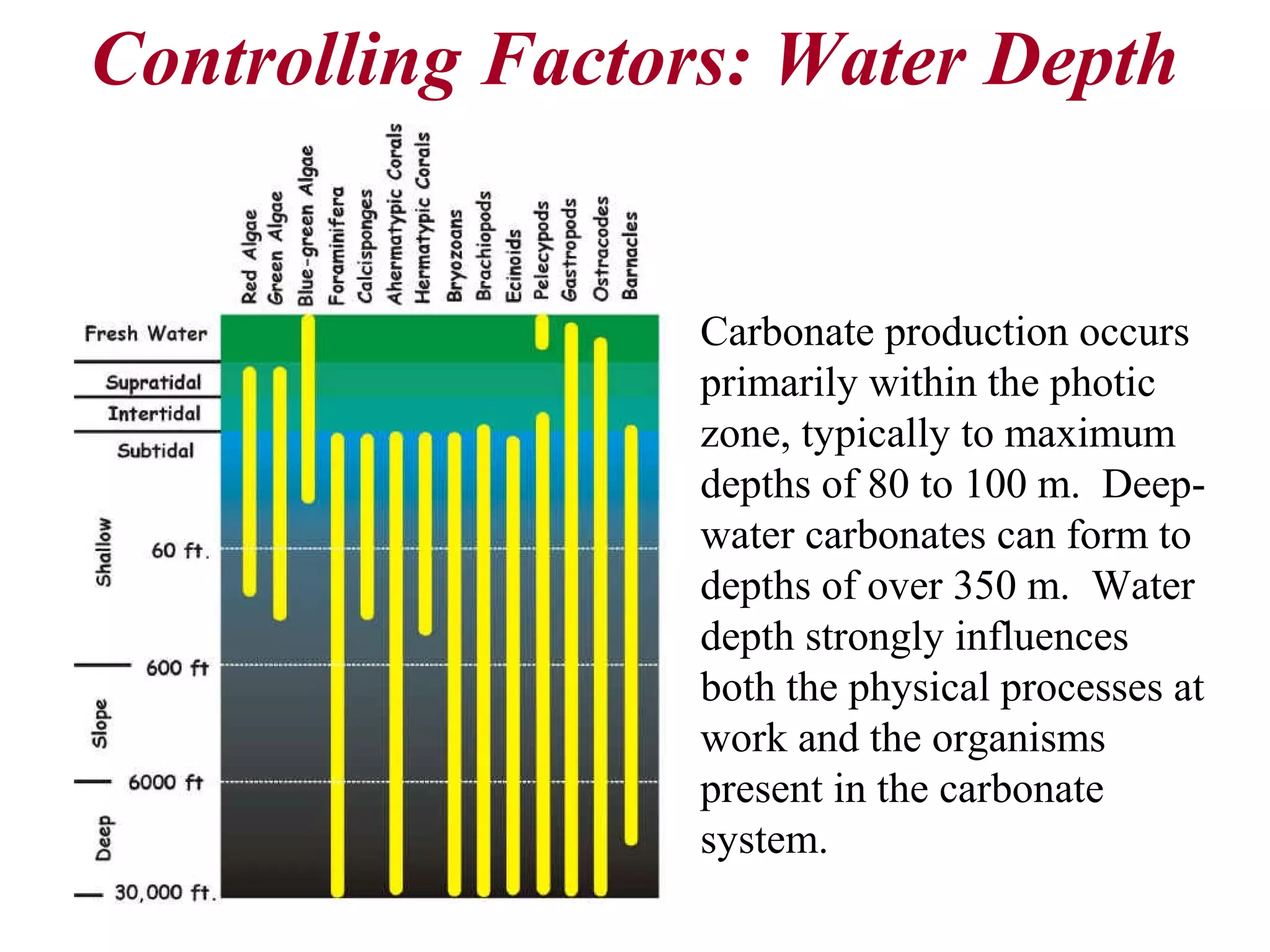 Controlling Factors: Water Depth
Carbonate production occurs
primarily within the photic
zone, typically to maximum
depths of 80 to 100 m. Deep-
water carbonates can form to
depths of over 350 m. Water
depth strongly influences
both the physical processes at
work and the organisms
present in the carbonate
system.
 