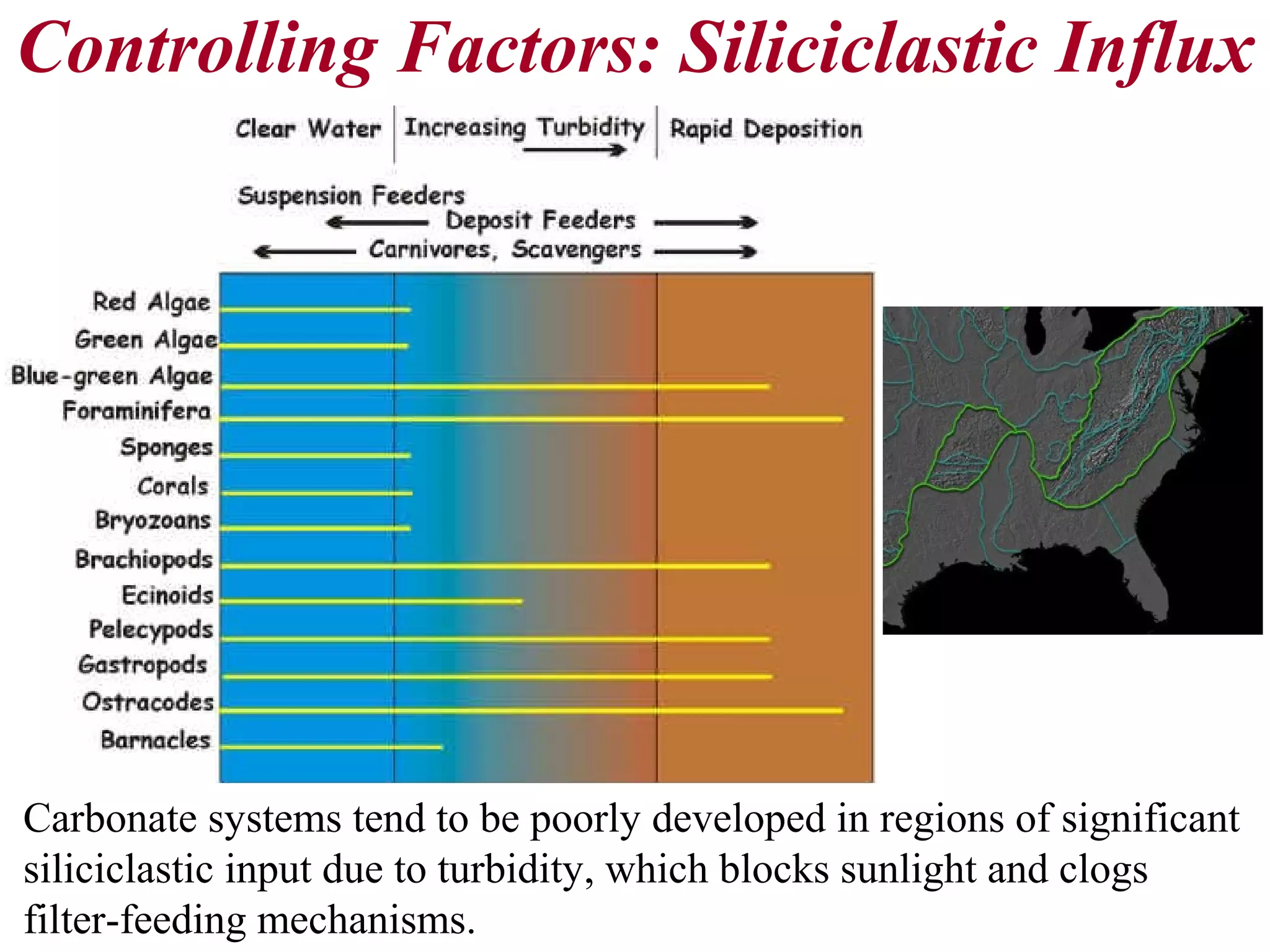 Controlling Factors: Siliciclastic Influx
Carbonate systems tend to be poorly developed in regions of significant
siliciclastic input due to turbidity, which blocks sunlight and clogs
filter-feeding mechanisms.
 