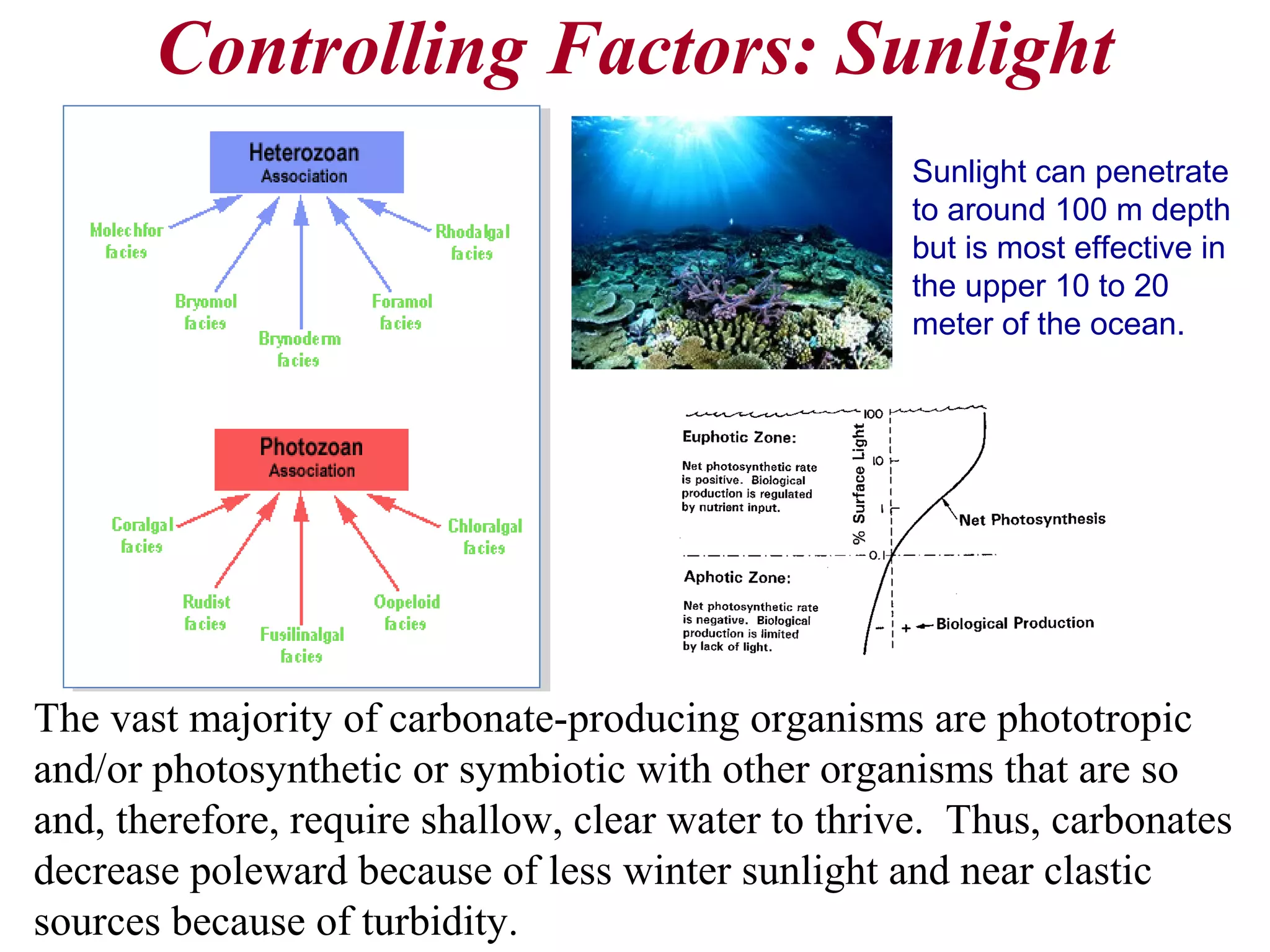 Controlling Factors: Sunlight
The vast majority of carbonate-producing organisms are phototropic
and/or photosynthetic or symbiotic with other organisms that are so
and, therefore, require shallow, clear water to thrive. Thus, carbonates
decrease poleward because of less winter sunlight and near clastic
sources because of turbidity.
Sunlight can penetrate
to around 100 m depth
but is most effective in
the upper 10 to 20
meter of the ocean.
 