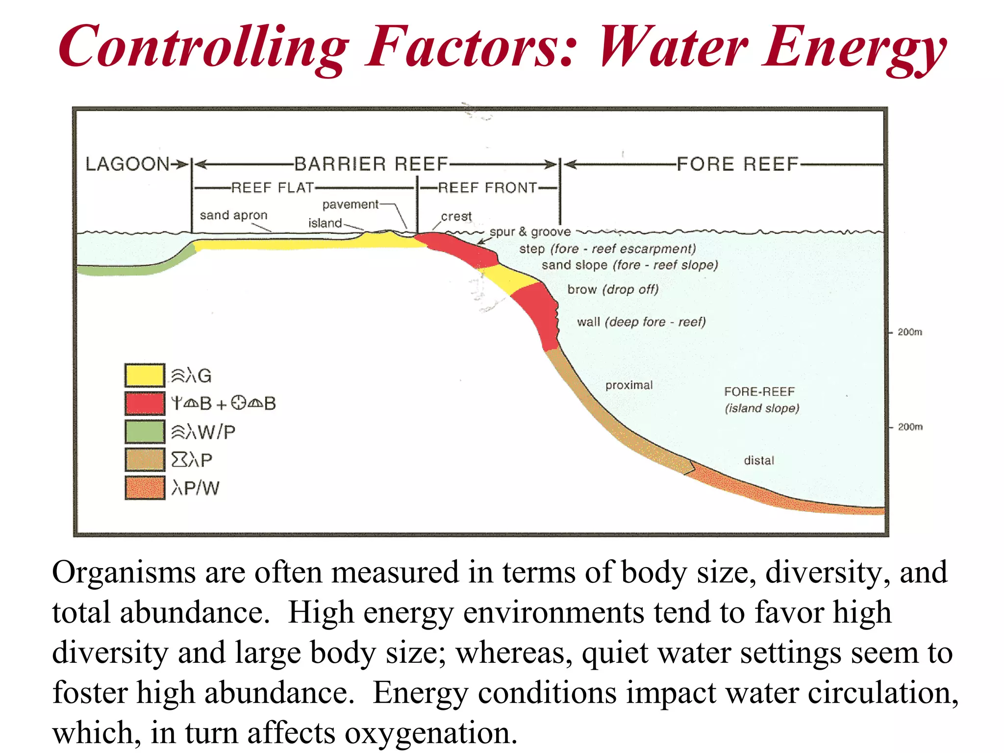 Organisms are often measured in terms of body size, diversity, and
total abundance. High energy environments tend to favor high
diversity and large body size; whereas, quiet water settings seem to
foster high abundance. Energy conditions impact water circulation,
which, in turn affects oxygenation.
Controlling Factors: Water Energy
 