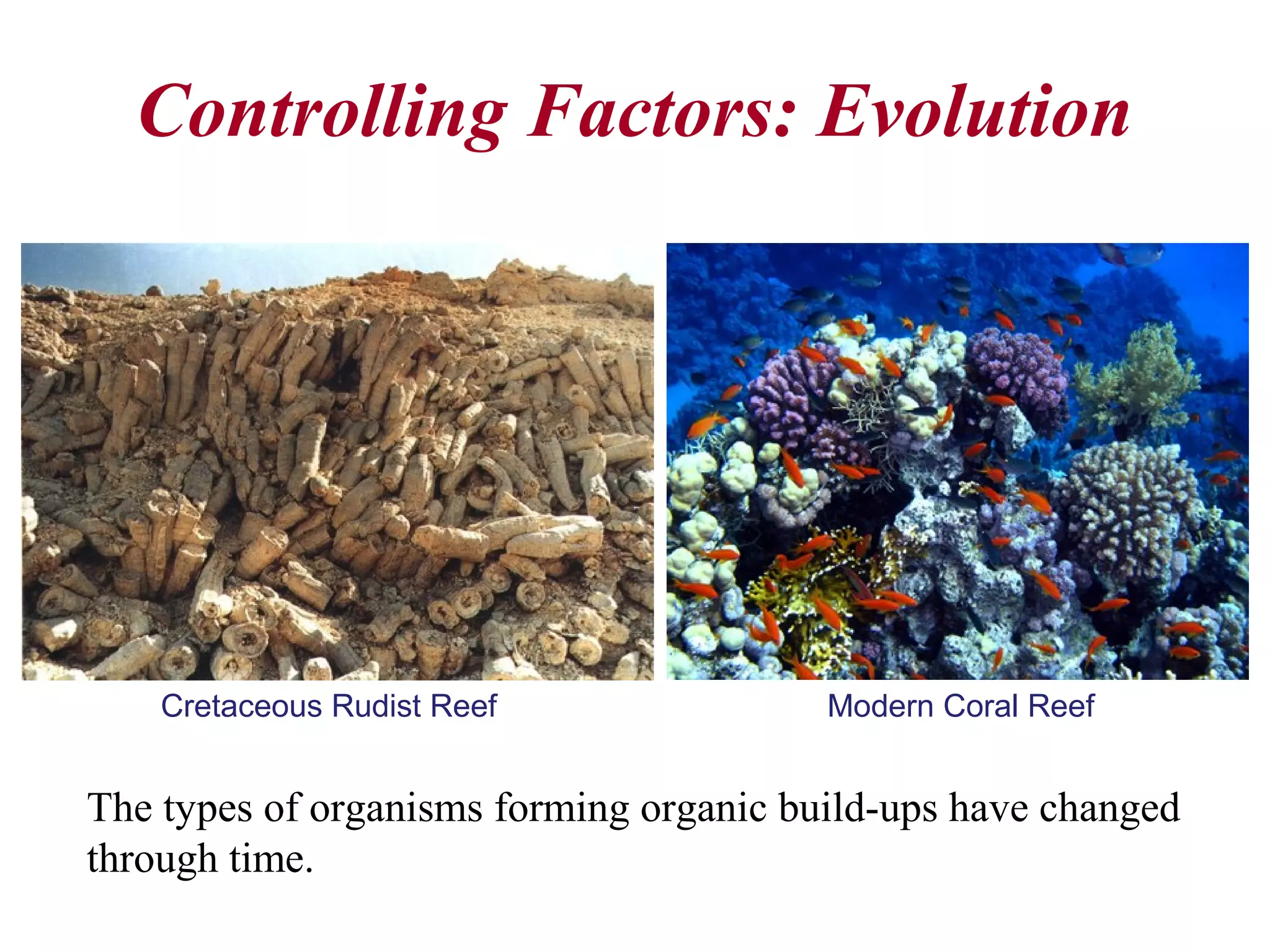 The types of organisms forming organic build-ups have changed
through time.
Controlling Factors: Evolution
Cretaceous Rudist Reef Modern Coral Reef
 