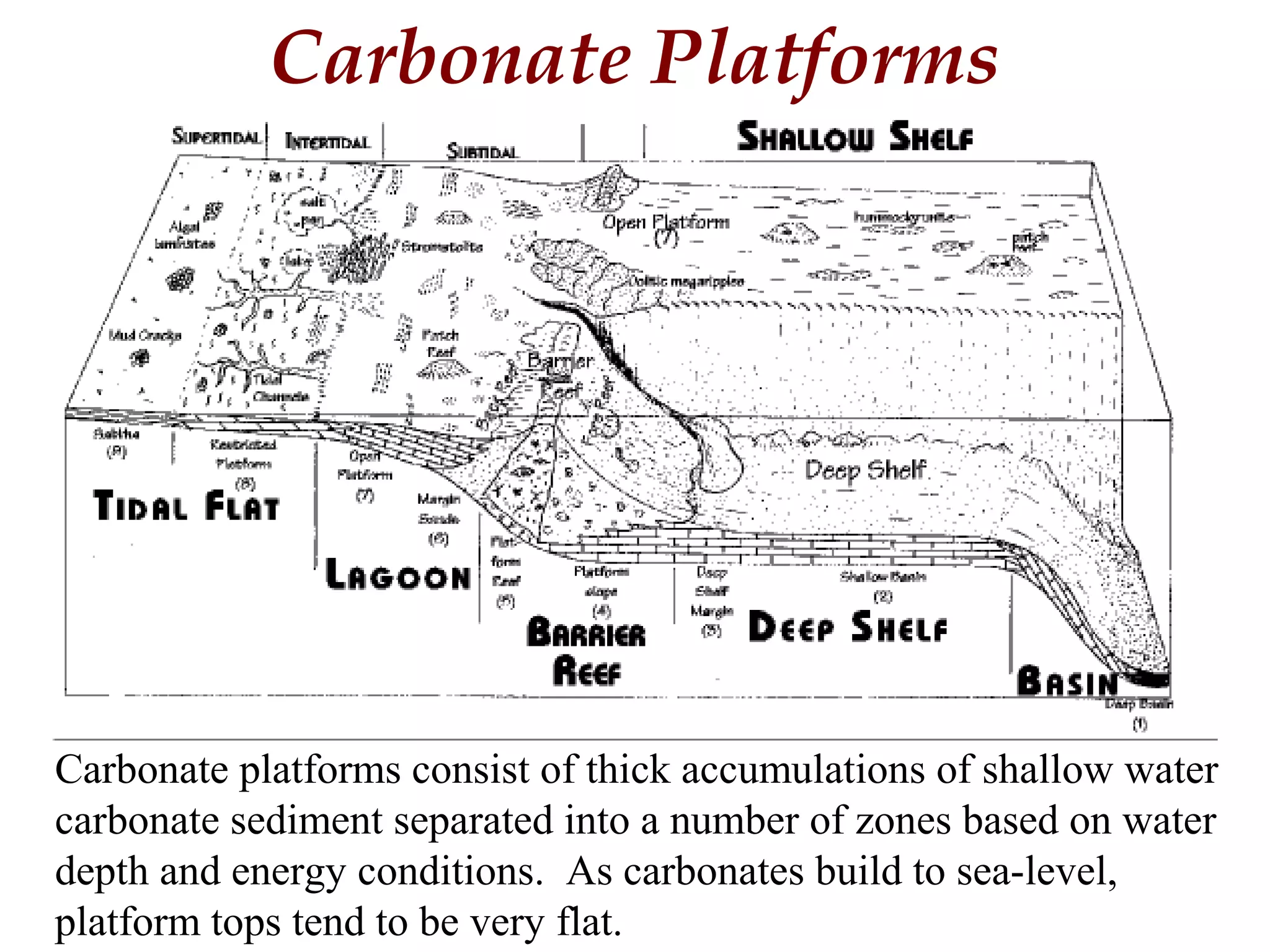 Carbonate Platforms
Carbonate platforms consist of thick accumulations of shallow water
carbonate sediment separated into a number of zones based on water
depth and energy conditions. As carbonates build to sea-level,
platform tops tend to be very flat.
 