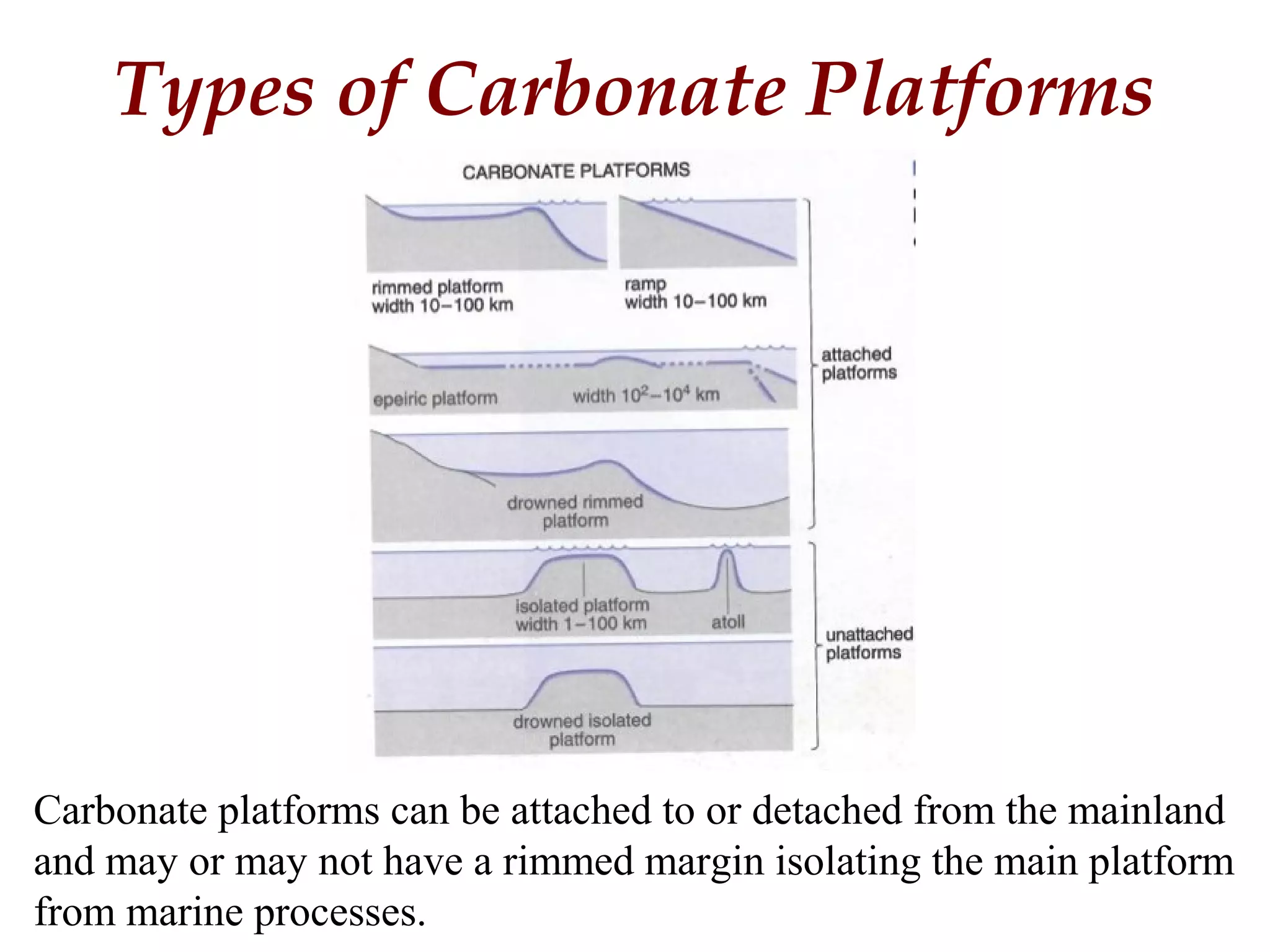 Types of Carbonate Platforms
Carbonate platforms can be attached to or detached from the mainland
and may or may not have a rimmed margin isolating the main platform
from marine processes.
 
