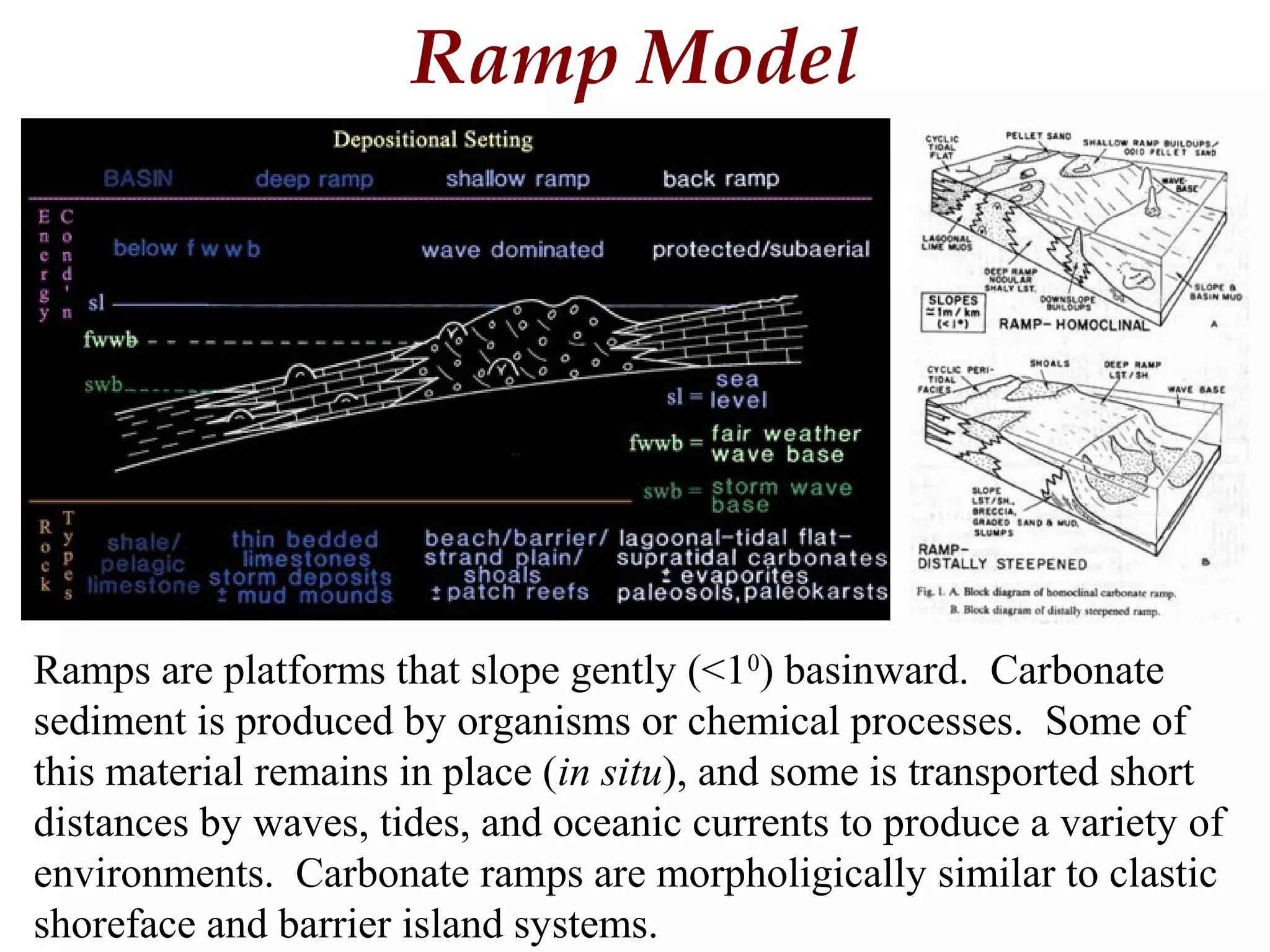 Ramp Model
Ramps are platforms that slope gently (<10
) basinward. Carbonate
sediment is produced by organisms or chemical processes. Some of
this material remains in place (in situ), and some is transported short
distances by waves, tides, and oceanic currents to produce a variety of
environments. Carbonate ramps are morpholigically similar to clastic
shoreface and barrier island systems.
 