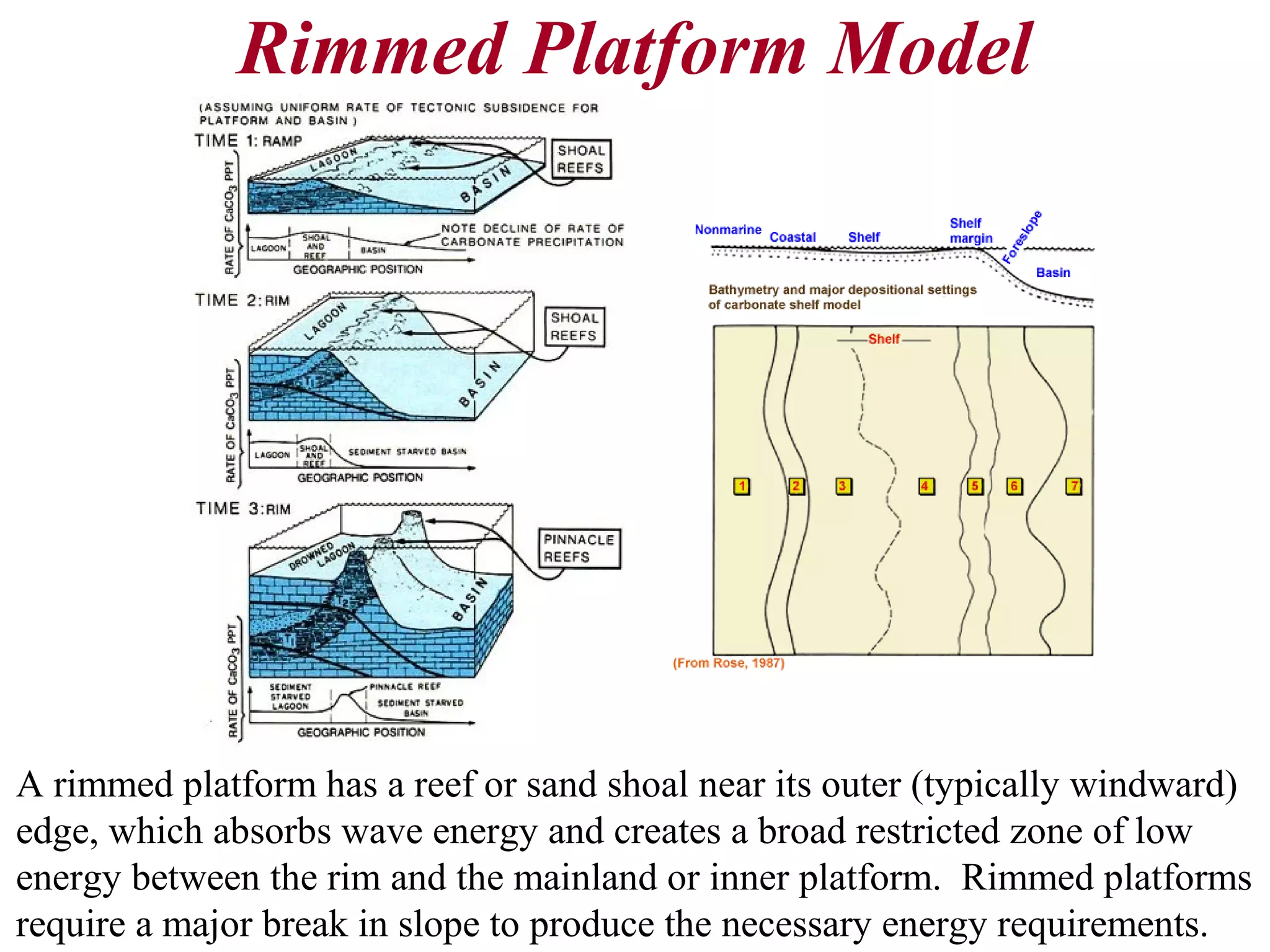 Rimmed Platform Model
A rimmed platform has a reef or sand shoal near its outer (typically windward)
edge, which absorbs wave energy and creates a broad restricted zone of low
energy between the rim and the mainland or inner platform. Rimmed platforms
require a major break in slope to produce the necessary energy requirements.
 