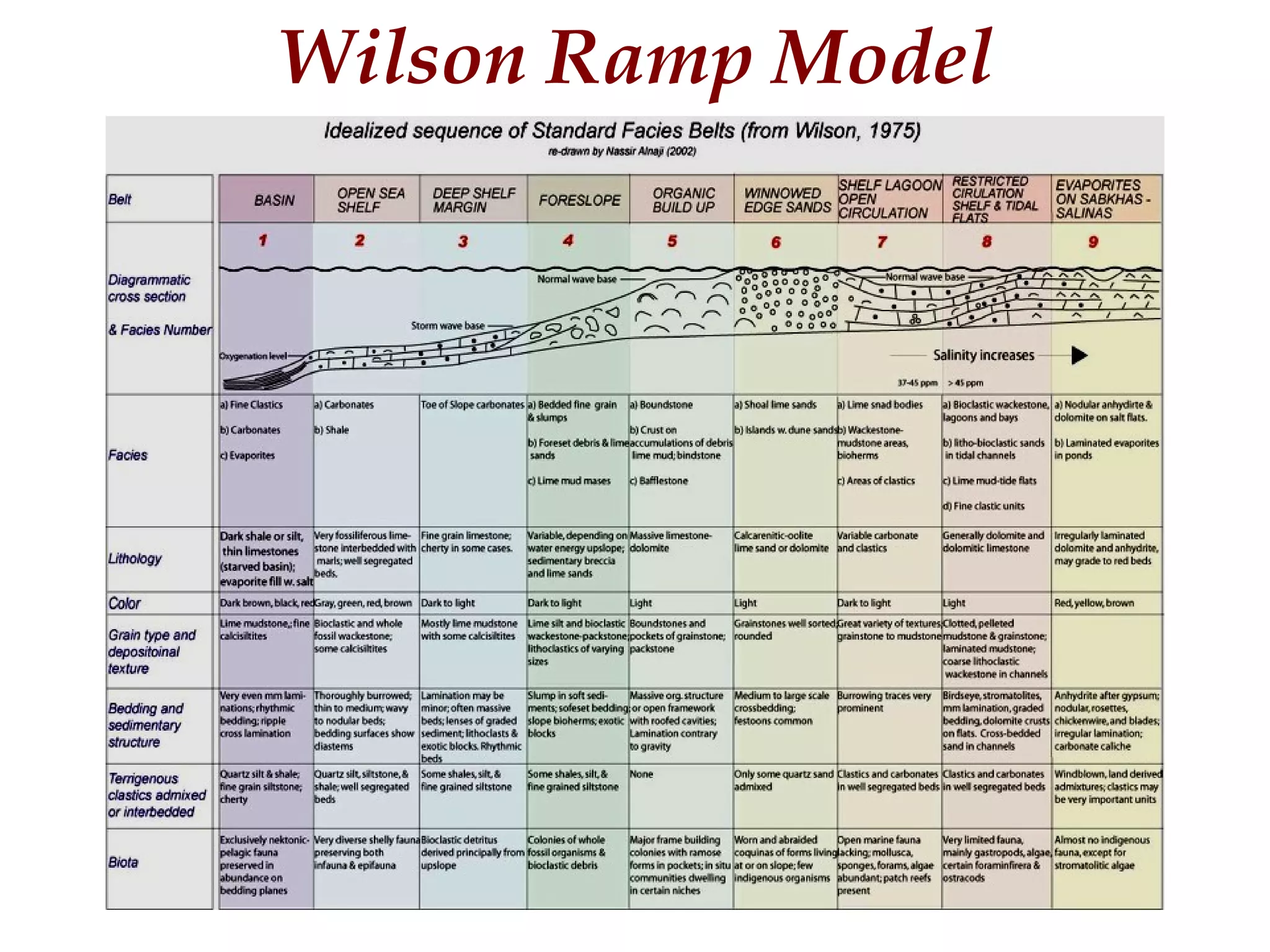 Wilson Ramp Model
 