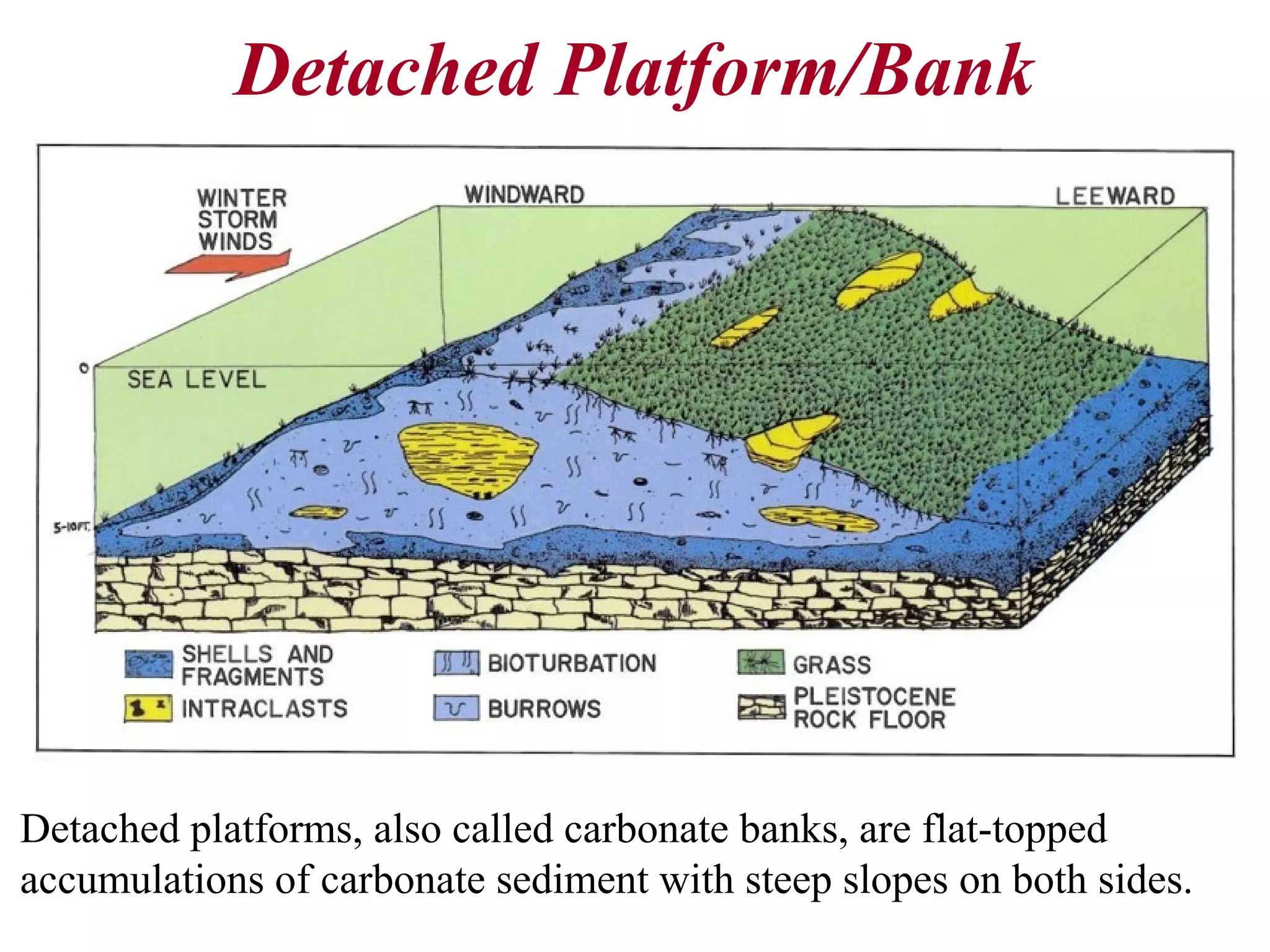 Detached Platform/Bank
Detached platforms, also called carbonate banks, are flat-topped
accumulations of carbonate sediment with steep slopes on both sides.
 