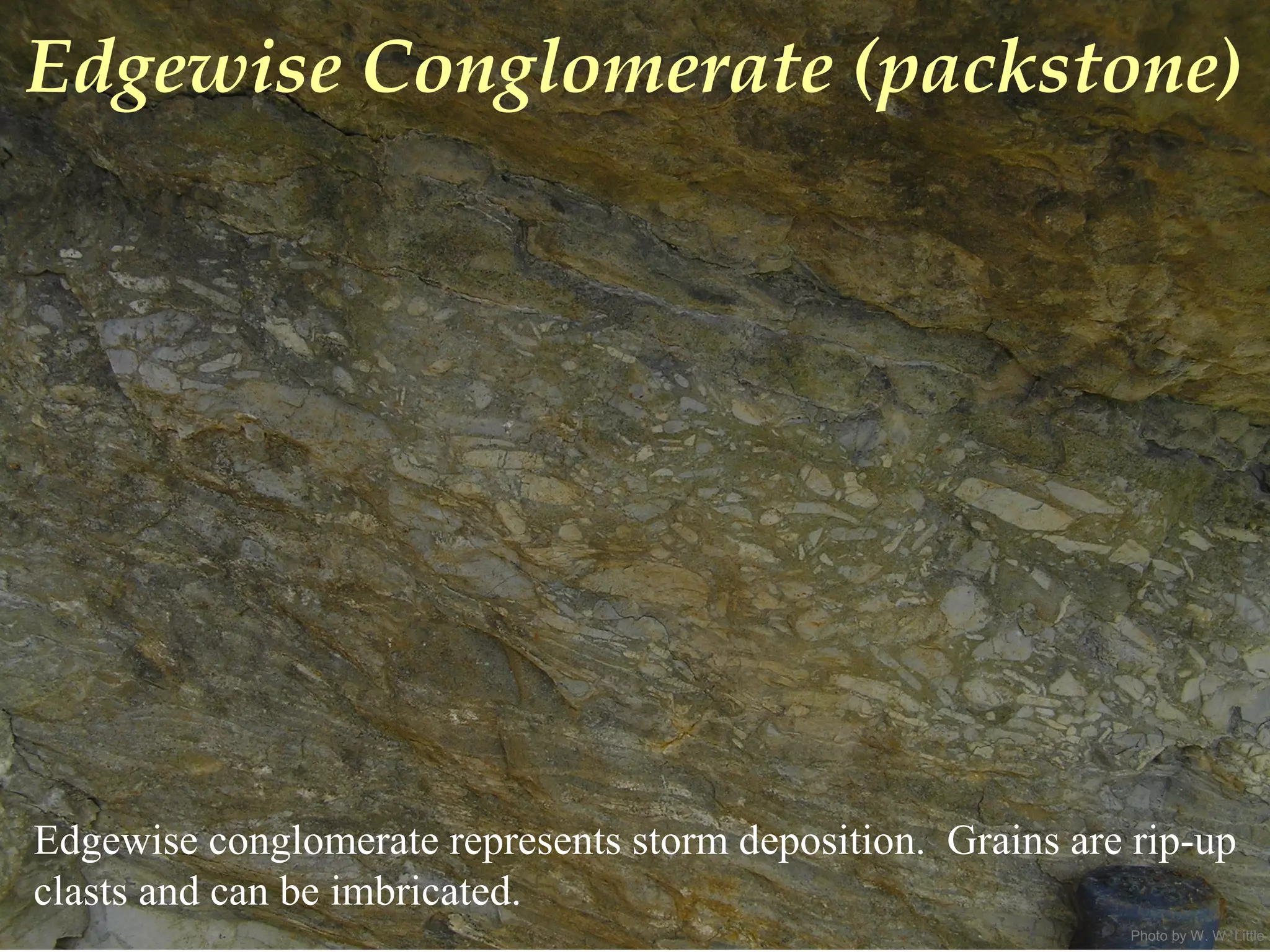 Photo by W. W. Little
Edgewise Conglomerate (packstone)
Edgewise conglomerate represents storm deposition. Grains are rip-up
clasts and can be imbricated.
 