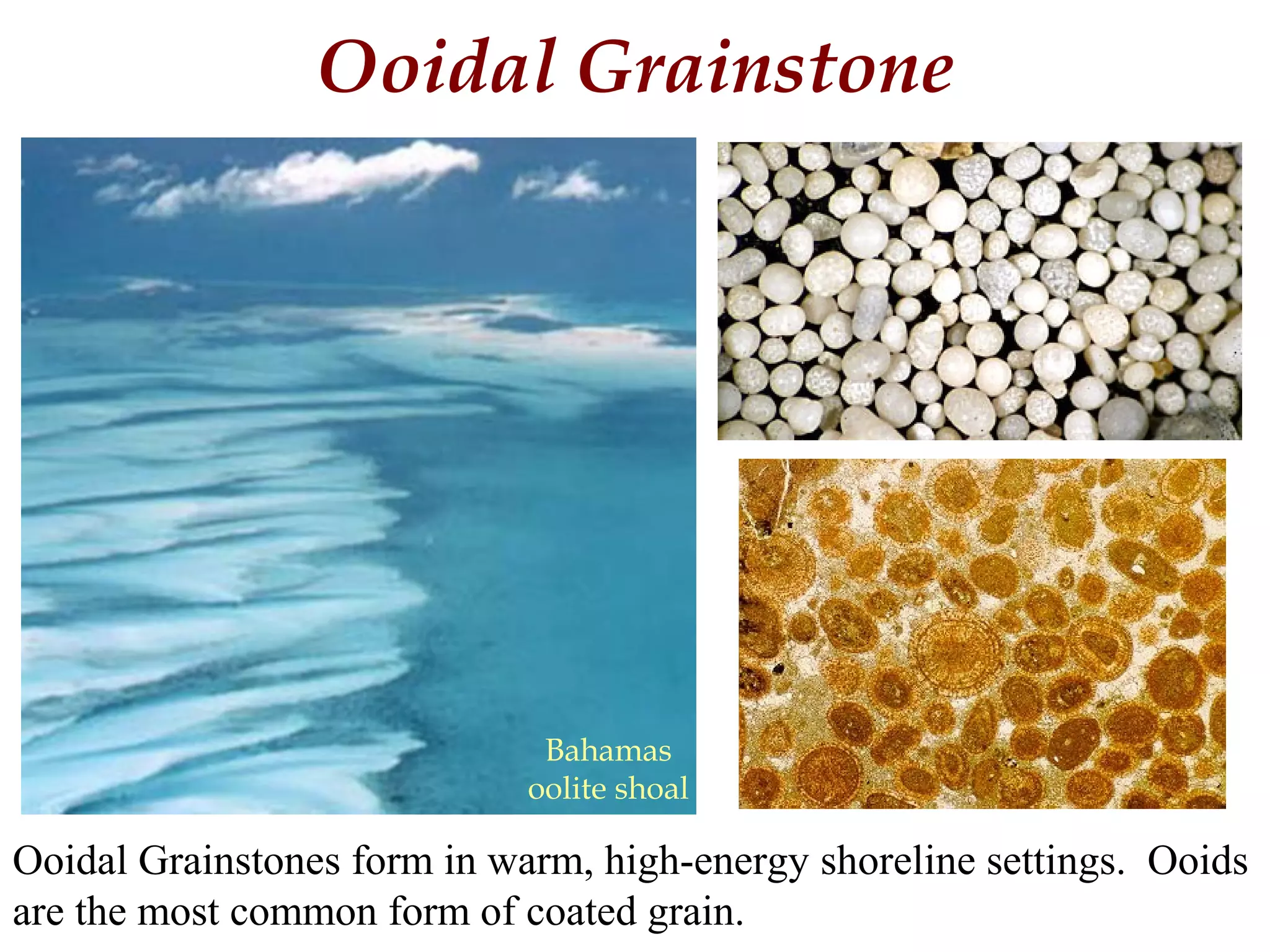 Ooidal Grainstone
Ooidal Grainstones form in warm, high-energy shoreline settings. Ooids
are the most common form of coated grain.
Bahamas
oolite shoal
 
