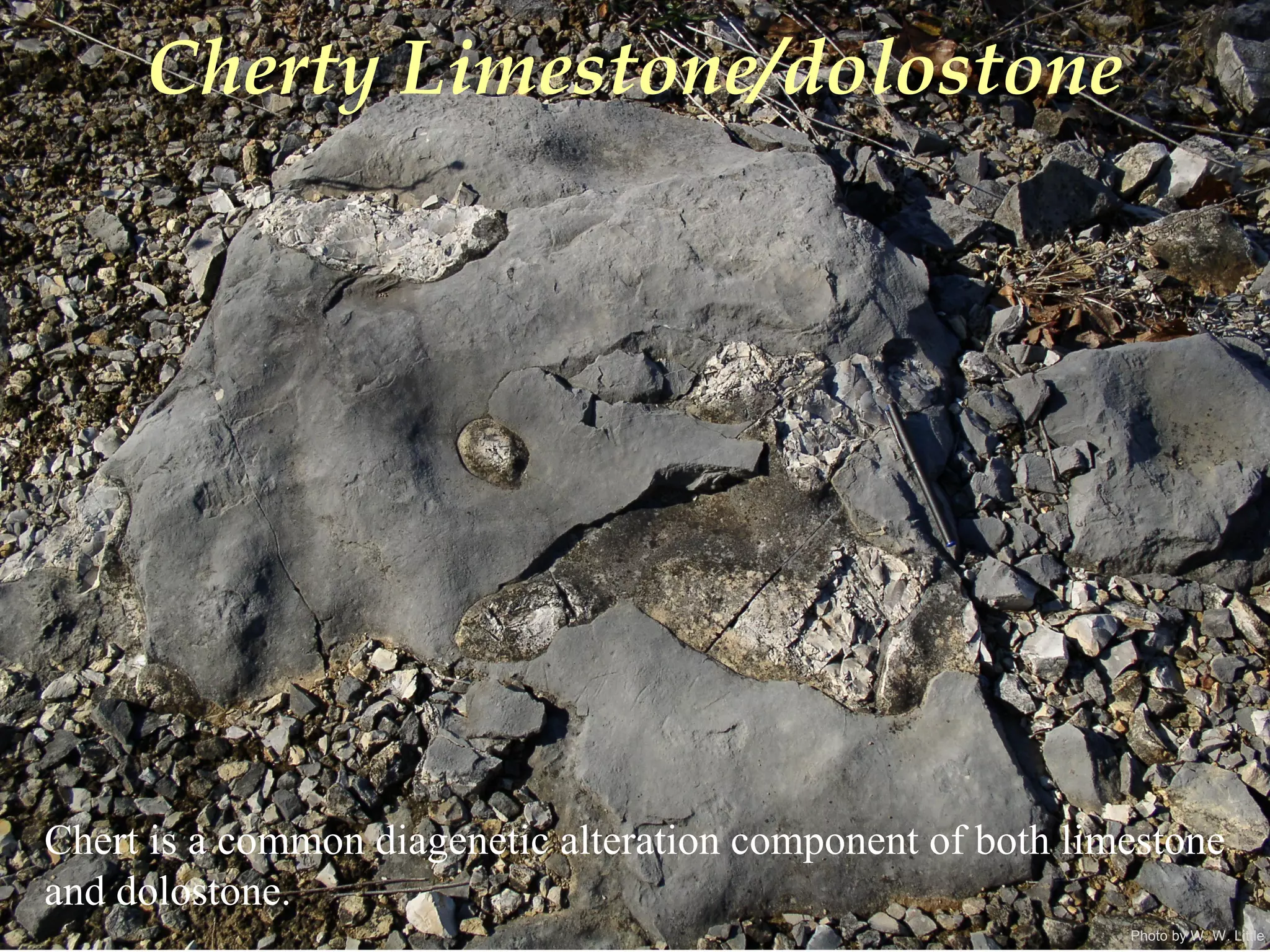 Photo by W. W. Little
Cherty Limestone/dolostone
Chert is a common diagenetic alteration component of both limestone
and dolostone.
 