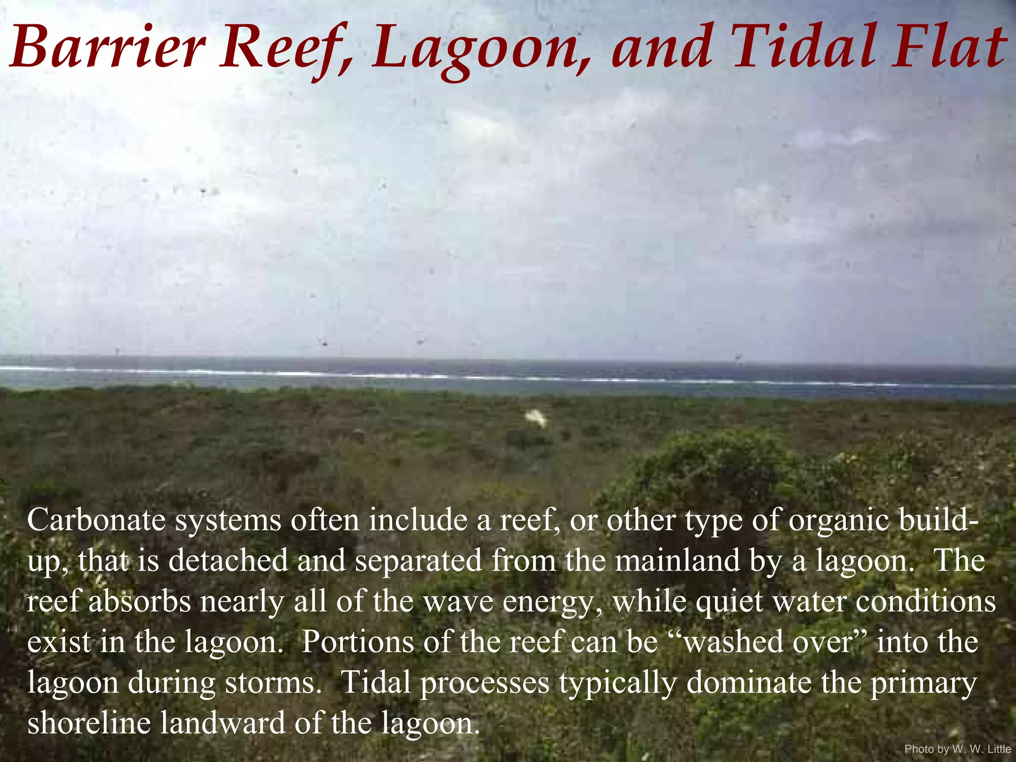 Photo by W. W. Little
Barrier Reef, Lagoon, and Tidal Flat
Carbonate systems often include a reef, or other type of organic build-
up, that is detached and separated from the mainland by a lagoon. The
reef absorbs nearly all of the wave energy, while quiet water conditions
exist in the lagoon. Portions of the reef can be “washed over” into the
lagoon during storms. Tidal processes typically dominate the primary
shoreline landward of the lagoon.
 