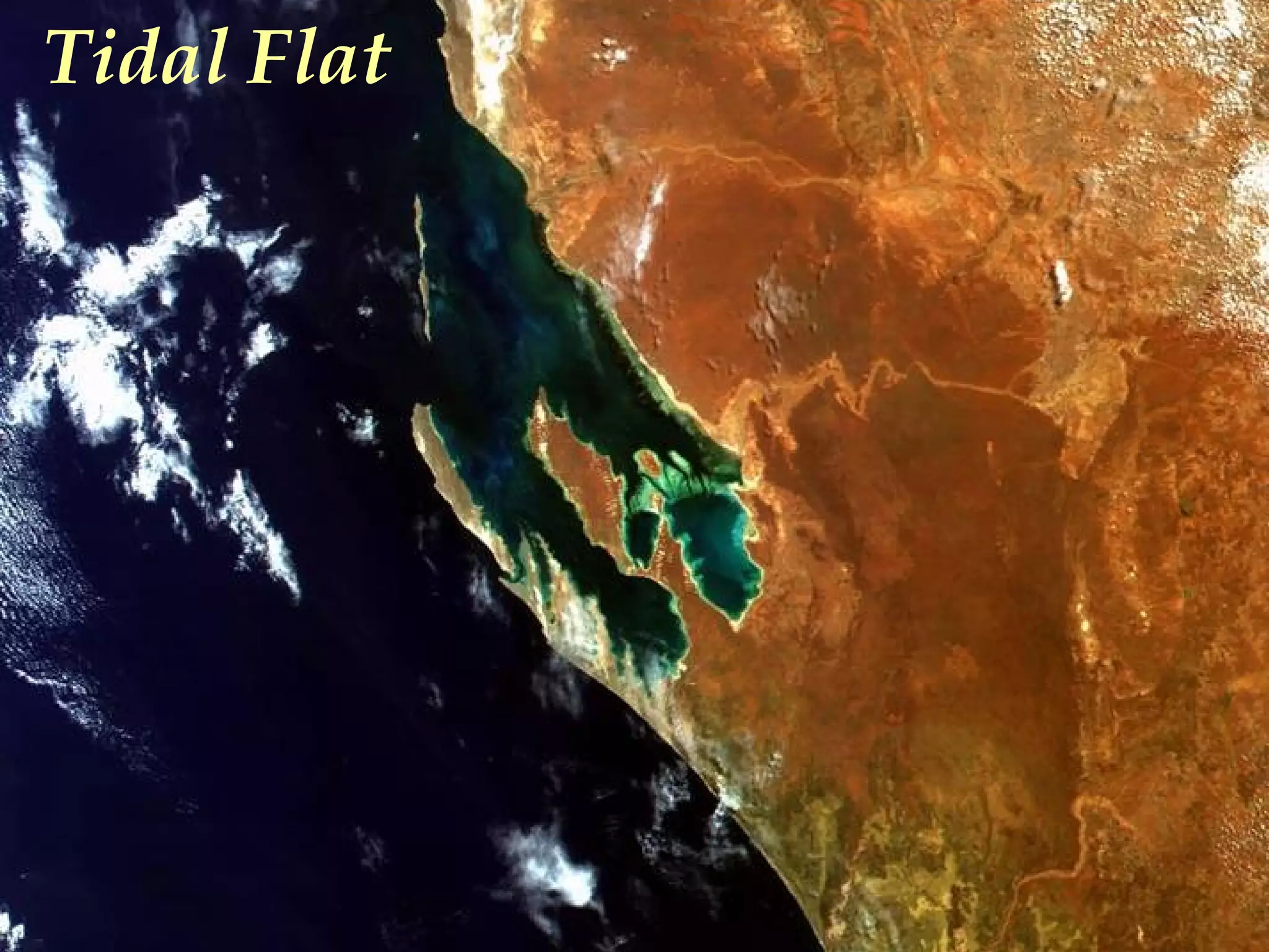 Shark Bay,
Australia
Tidal Flat
 