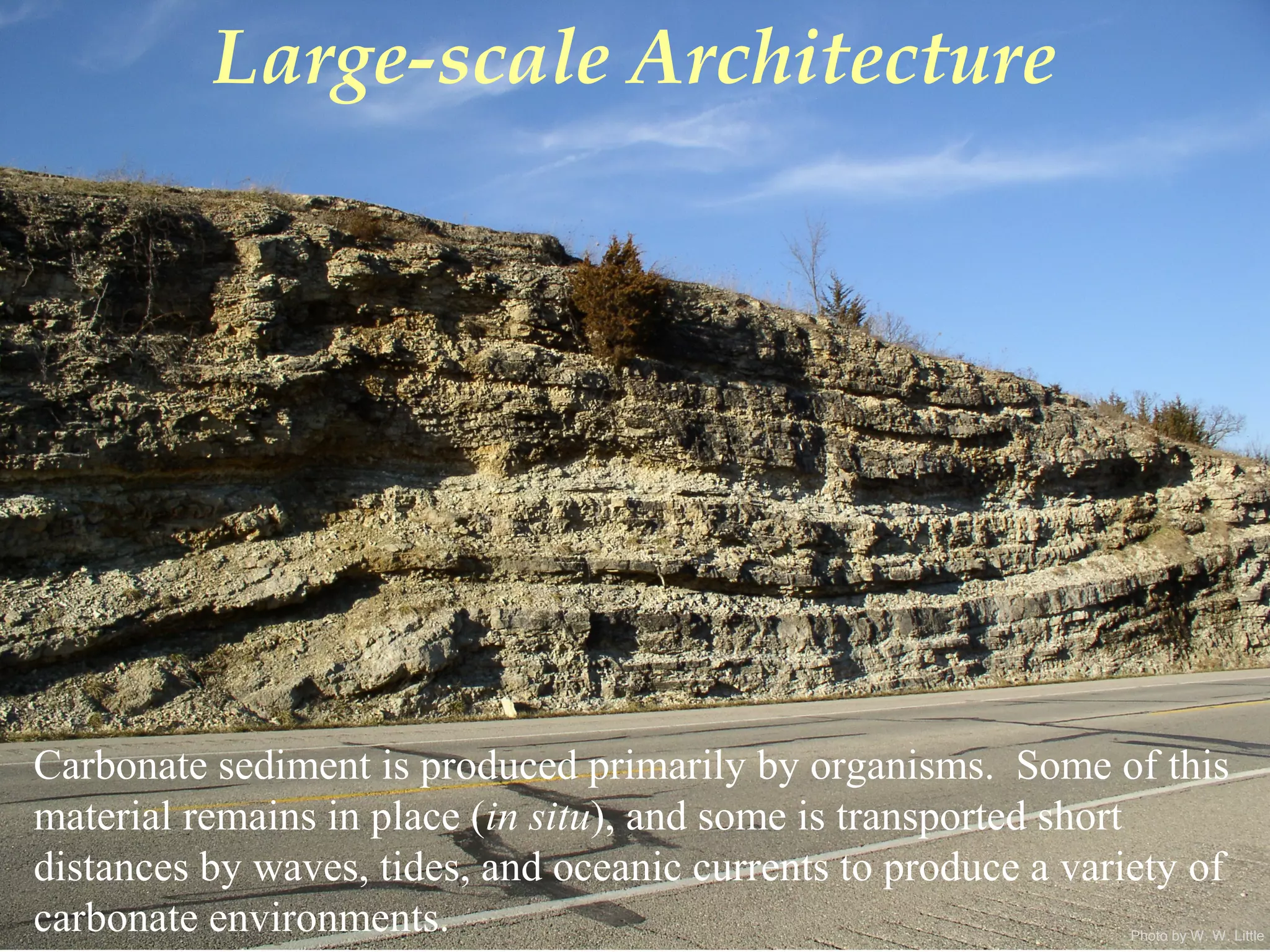 Photo by W. W. Little
Large-scale Architecture
Carbonate sediment is produced primarily by organisms. Some of this
material remains in place (in situ), and some is transported short
distances by waves, tides, and oceanic currents to produce a variety of
carbonate environments.
 