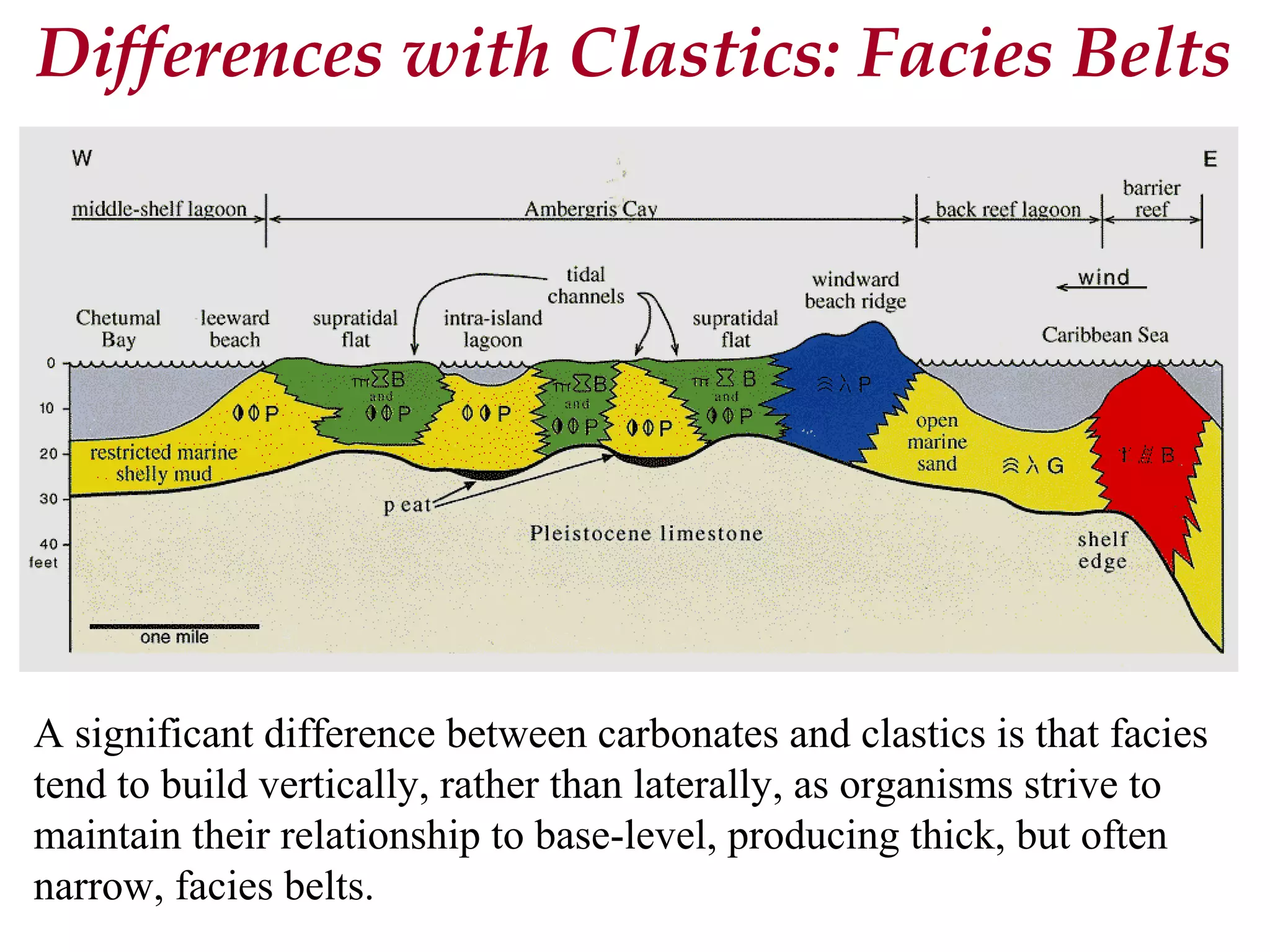 A significant difference between carbonates and clastics is that facies
tend to build vertically, rather than laterally, as organisms strive to
maintain their relationship to base-level, producing thick, but often
narrow, facies belts.
Differences with Clastics: Facies Belts
 