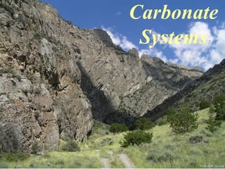 Photo by W. W. Little
Carbonate
Systems
 