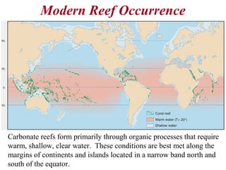 Modern Reef Occurrence
Carbonate reefs form primarily through organic processes that require
warm, shallow, clear water. These conditions are best met along the
margins of continents and islands located in a narrow band north and
south of the equator.
 