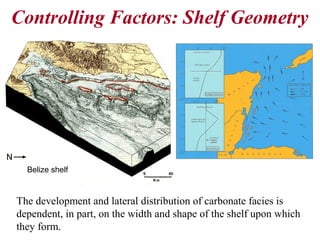 Controlling Factors: Shelf Geometry
The development and lateral distribution of carbonate facies is
dependent, in part, on the width and shape of the shelf upon which
they form.
Belize shelf
 