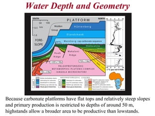 Because carbonate platforms have flat tops and relatively steep slopes
and primary production is restricted to depths of around 50 m,
highstands allow a broader area to be productive than lowstands.
Water Depth and Geometry
 
