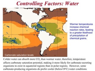 Controlling Factors: Water
Temperature
Colder water can absorb more CO2 than warmer water, therefore, temperature
affects carbonate saturation potential, making it more likely for carbonate-secreting
organisms to exist in equatorial regions than in polar regions. However, some
carbonate-producing organisms do prefer cooler (below180
C) water conditions
Carbonate saturation levels
Warmer temperatures
increase chemical
reaction rates, leading
to a greater likelihood
of precipitation of
chemical grains.
 