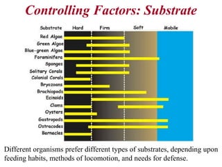 Controlling Factors: Substrate
Different organisms prefer different types of substrates, depending upon
feeding habits, methods of locomotion, and needs for defense.
 