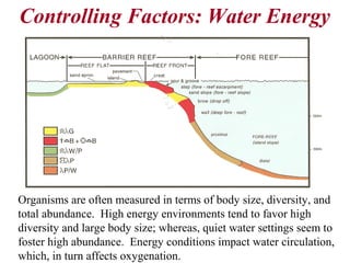 Organisms are often measured in terms of body size, diversity, and
total abundance. High energy environments tend to favor high
diversity and large body size; whereas, quiet water settings seem to
foster high abundance. Energy conditions impact water circulation,
which, in turn affects oxygenation.
Controlling Factors: Water Energy
 