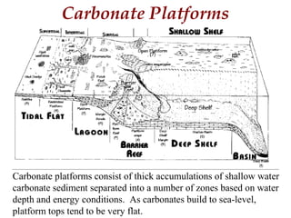 Carbonate Platforms
Carbonate platforms consist of thick accumulations of shallow water
carbonate sediment separated into a number of zones based on water
depth and energy conditions. As carbonates build to sea-level,
platform tops tend to be very flat.
 