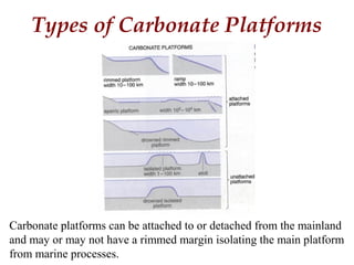 Types of Carbonate Platforms
Carbonate platforms can be attached to or detached from the mainland
and may or may not have a rimmed margin isolating the main platform
from marine processes.
 