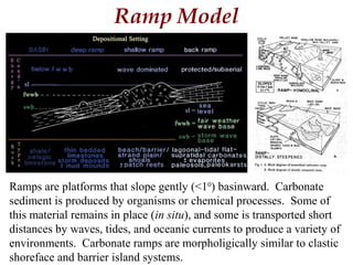 Ramp Model
Ramps are platforms that slope gently (<10
) basinward. Carbonate
sediment is produced by organisms or chemical processes. Some of
this material remains in place (in situ), and some is transported short
distances by waves, tides, and oceanic currents to produce a variety of
environments. Carbonate ramps are morpholigically similar to clastic
shoreface and barrier island systems.
 