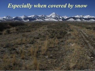 Photo by W. W. Little
Especially when covered by snow
 