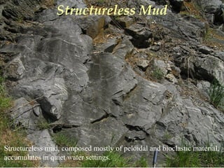 Photo by W. W. Little
Structureless Mud
Structureless mud, composed mostly of peloidal and bioclastic material,
accumulates in quiet water settings.
 