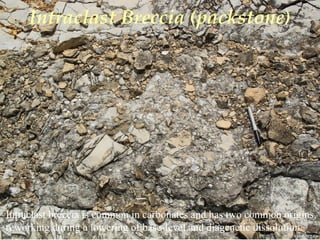 Photo by W. W. Little
Intraclast Breccia (packstone)
Intraclast breccia is common in carbonates and has two common origins,
reworking during a lowering of base-level and diagenetic dissolution.
 