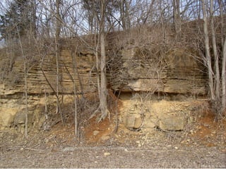 Photo by W. W. Little
 