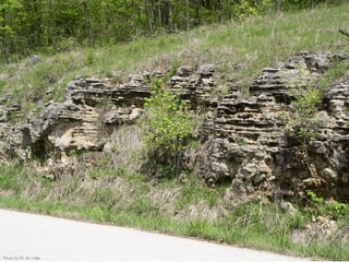 Photo by W. W. Little
 